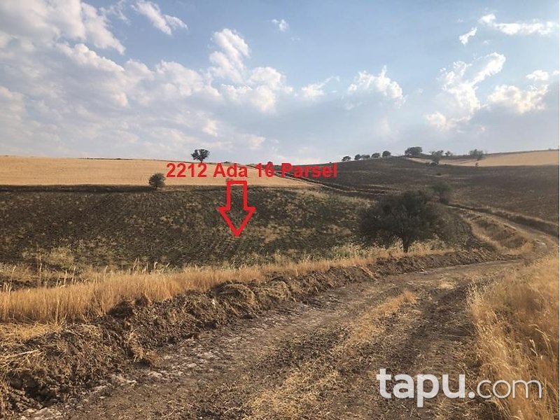Ankara Akyurt Haydar'da 6 Adet Hisseli Arazi (AS-00927)