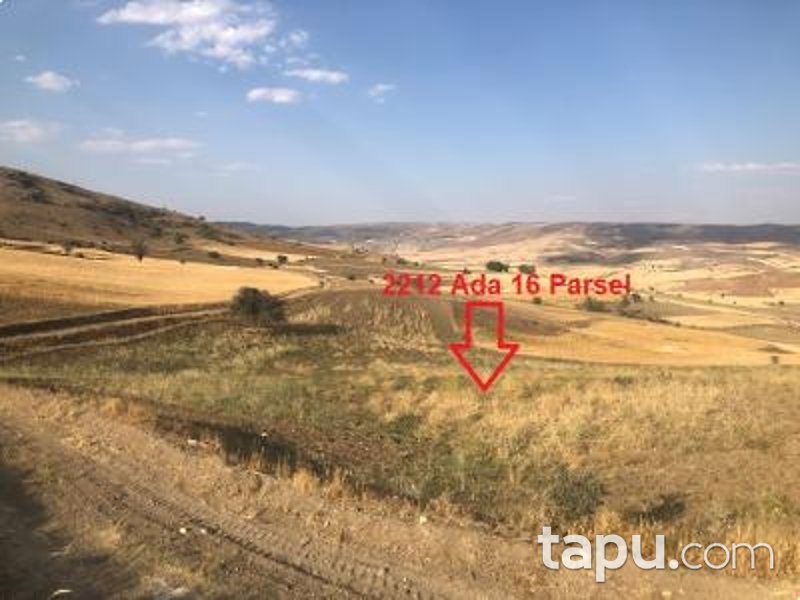 Ankara Akyurt Haydar'da 6 Adet Hisseli Arazi (AS-00927)