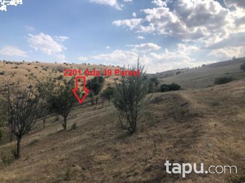 Ankara Akyurt Haydar'da 6 Adet Hisseli Arazi (AS-00927)