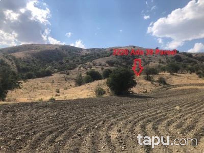 Ankara Akyurt Haydar'da 6 Adet Hisseli Arazi (AS-00927)