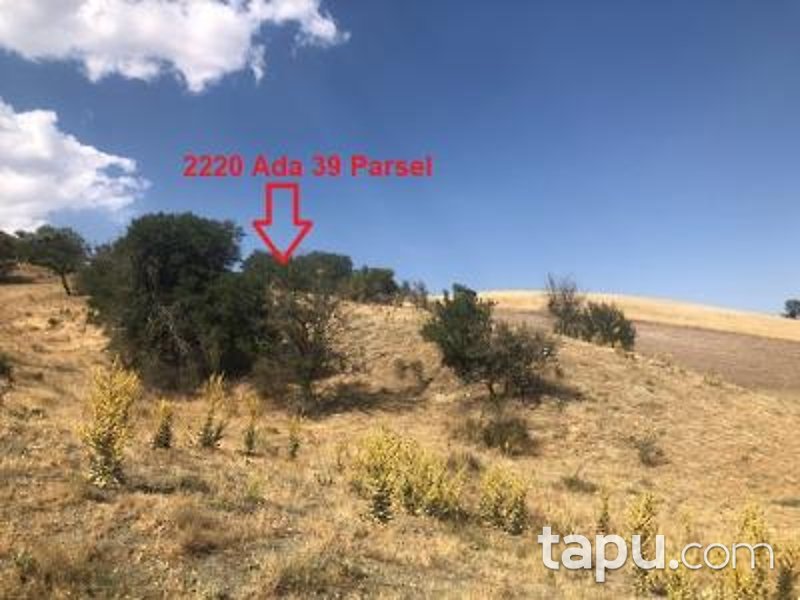Ankara Akyurt Haydar'da 6 Adet Hisseli Arazi (AS-00927)