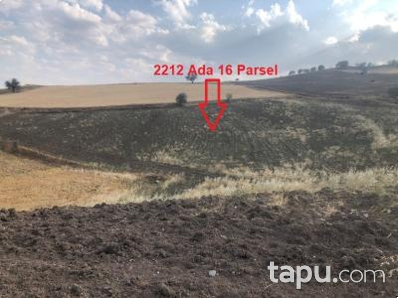 Ankara Akyurt Haydar'da 6 Adet Hisseli Arazi (AS-00927)