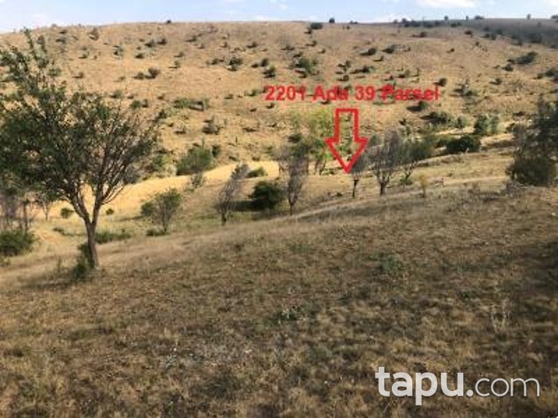 Ankara Akyurt Haydar'da 6 Adet Hisseli Arazi (AS-00927)