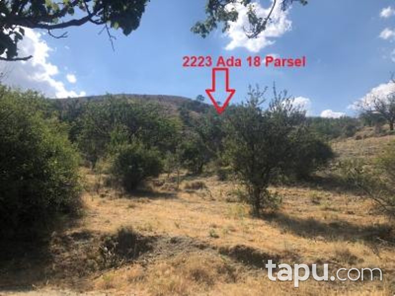 Ankara Akyurt Haydar'da 6 Adet Hisseli Arazi (AS-00927)