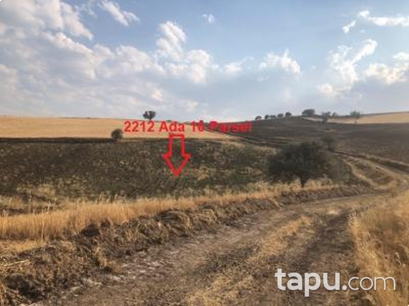Ankara Akyurt Haydar'da 6 Adet Hisseli Arazi (AS-00927)