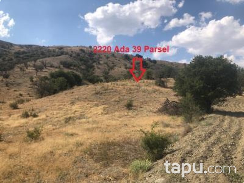 Ankara Akyurt Haydar'da 6 Adet Hisseli Arazi (AS-00927)