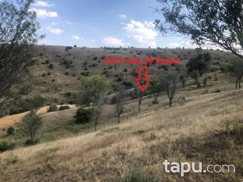 Ankara Akyurt Haydar'da 6 Adet Hisseli Arazi (AS-00927)