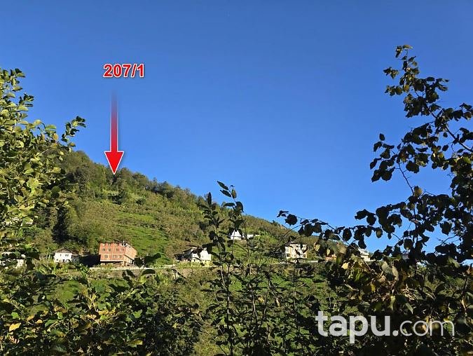 Trabzon Sürmene'de 6 Dönüm Yığma Ev Ve Fındık Ve Çay Bahçesi