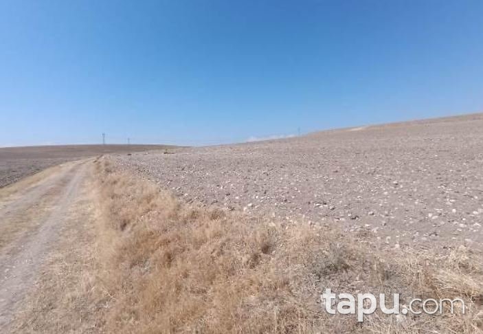 Afyonkarahisar İhsaniye Hacıbeyli'de 16.588 m2 Tarla