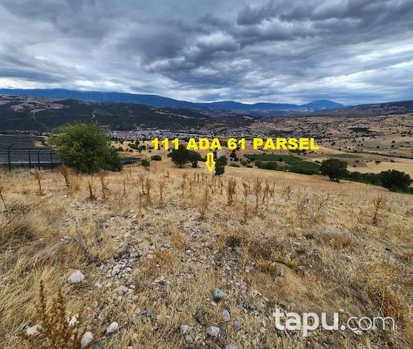 Amasya Taşova Doğu Mahallesi'nde 5 Dönüm Yarı Hisseli Tarla
