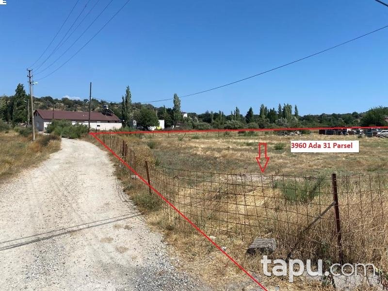 İzmir Seferihisar Sığacık'ta Hisseli 3.580 m2 Kerpiç Damı Olan Tarla (AS-00223)