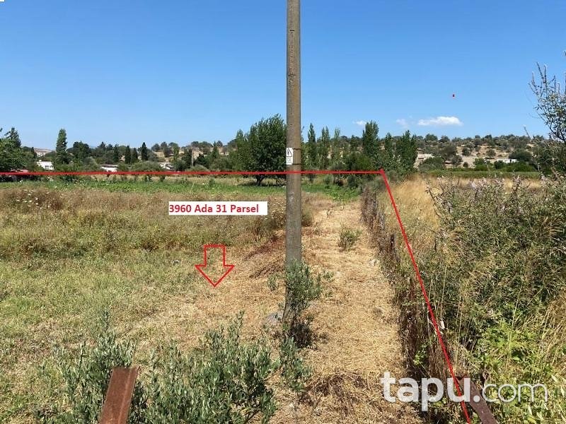 İzmir Seferihisar Sığacık'ta Hisseli 3.580 m2 Kerpiç Damı Olan Tarla (AS-00223)