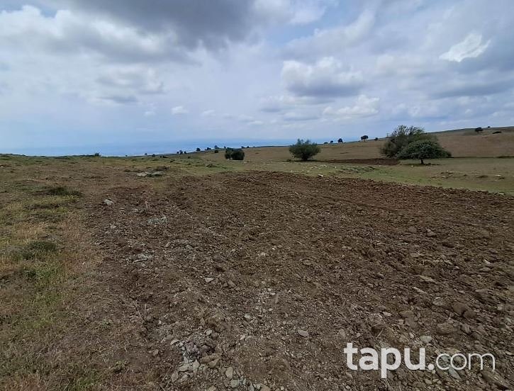 Eskişehir Tepebaşı Karadere'de 12 Dönüm Tarla