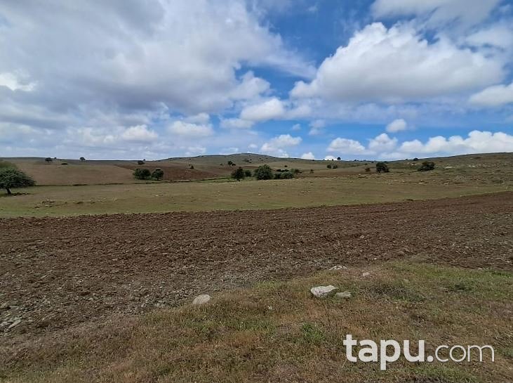 Eskişehir Tepebaşı Karadere'de 12 Dönüm Tarla