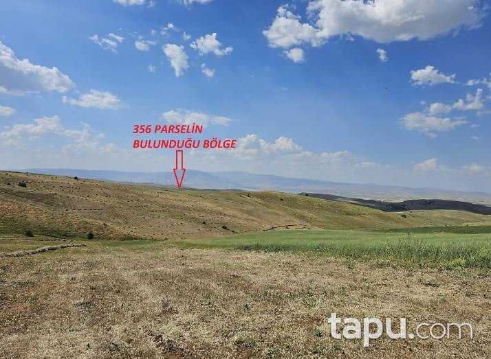 Muş Bulanık Oğlakkaya'da 30 Dönüm Tarla