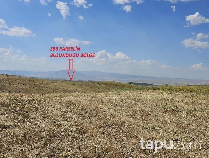 Muş Bulanık Oğlakkaya'da 30 Dönüm Tarla