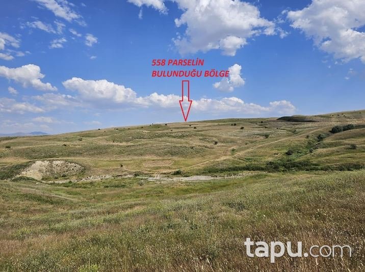 Muş Bulanık Oğlakkaya'da 26 Dönüm Tarla