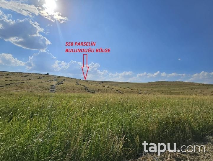 Muş Bulanık Oğlakkaya'da 26 Dönüm Tarla