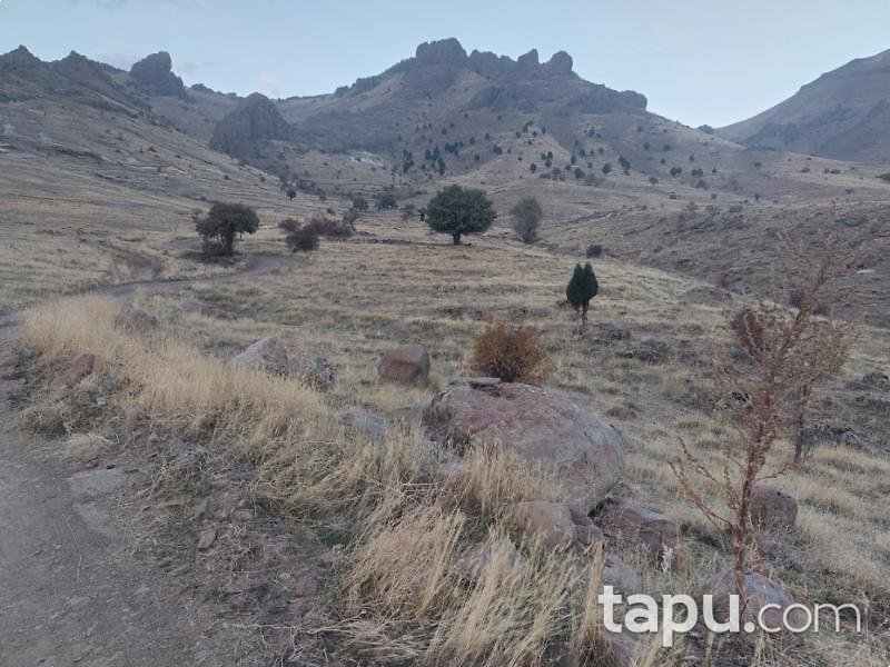 Kahramanmaraş Elbistan'da 25.501 m2 Tarla (AS-00187)