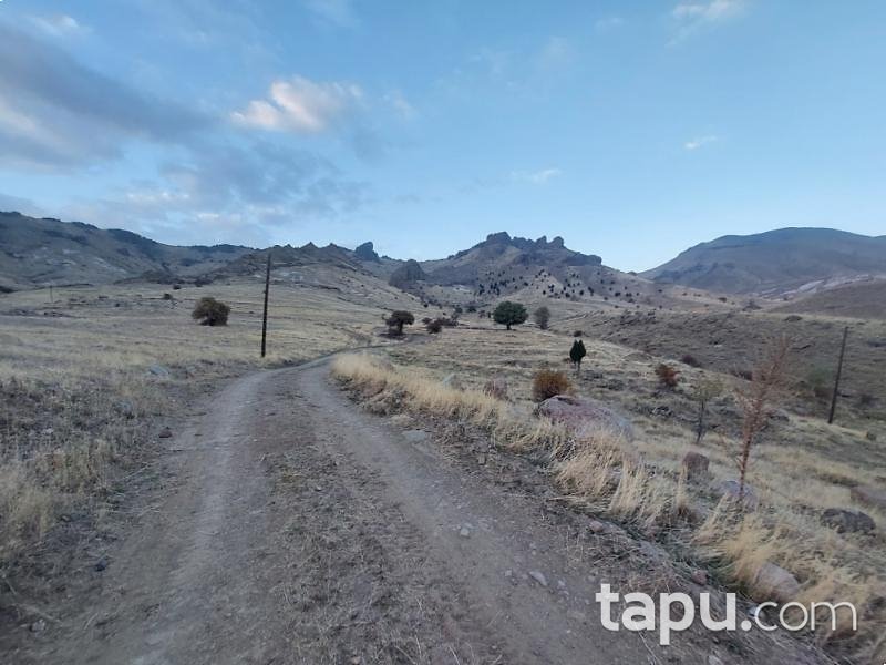 Kahramanmaraş Elbistan'da 25.501 m2 Tarla (AS-00187)