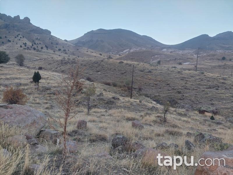 Kahramanmaraş Elbistan'da 25.501 m2 Tarla (AS-00187)