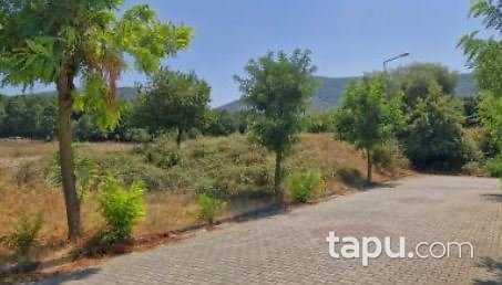 Yalova Merkez Safran Mahallesi'nde Hisseli 342 m2 Tarla (AS-00908)
