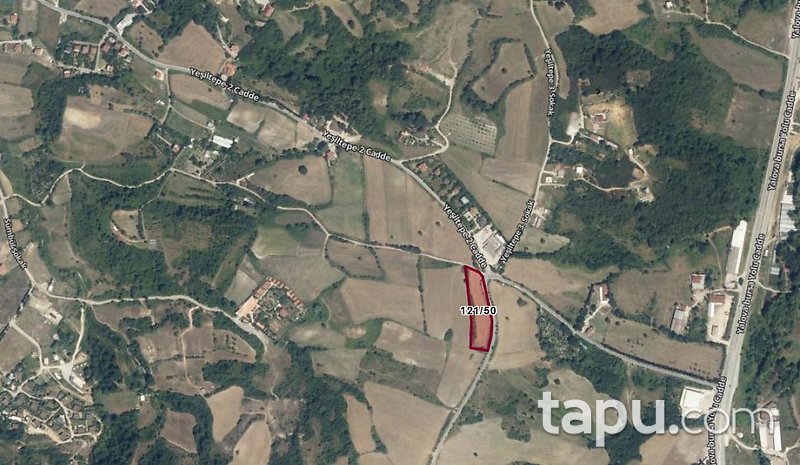 Yalova Merkez Safran Mahallesi'nde Hisseli 166 m2 Tarla (AS-00915)