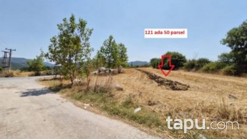 Yalova Merkez Safran Mahallesi'nde Hisseli 166 m2 Tarla (AS-00915)