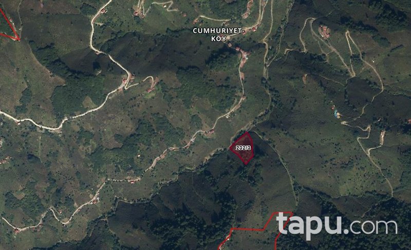 Ordu Altınordu'da 7.579 m2 Fındık Bahçesi