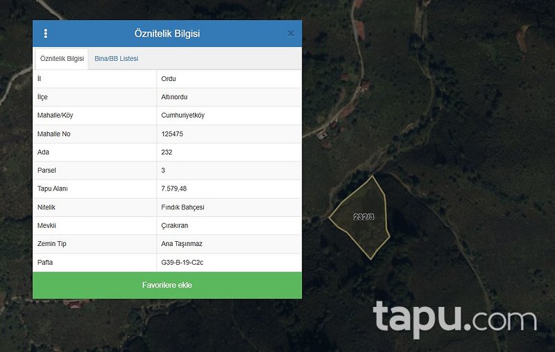 Ordu Altınordu'da 7.579 m2 Fındık Bahçesi
