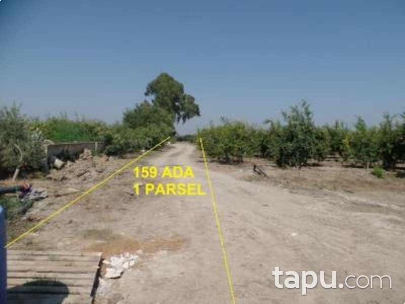 Mersin Tarsus'ta 375 m2 Tarla (AS-01629)