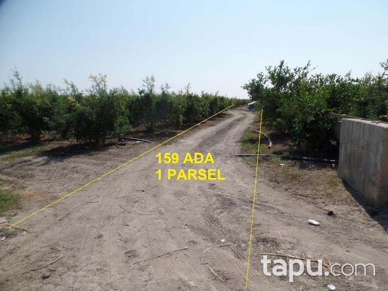 Mersin Tarsus'ta 375 m2 Tarla (AS-01629)