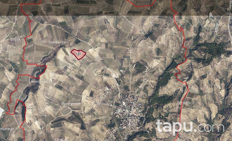 Mersin Tarsus Cinköy'de Hisseli 7 Dönüm Bağ (AS-01627)