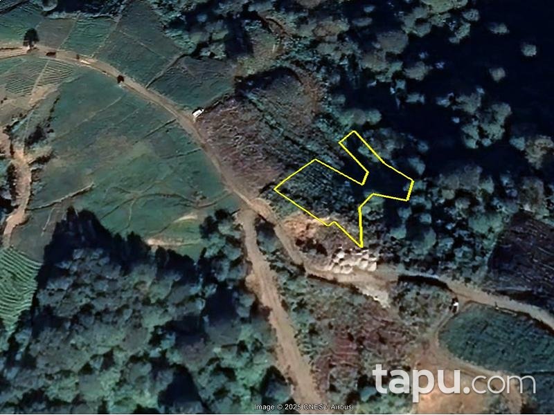 Rize Güneysu Başköy'de 1.278 m2 Çay Bahçesi (AS-02983)