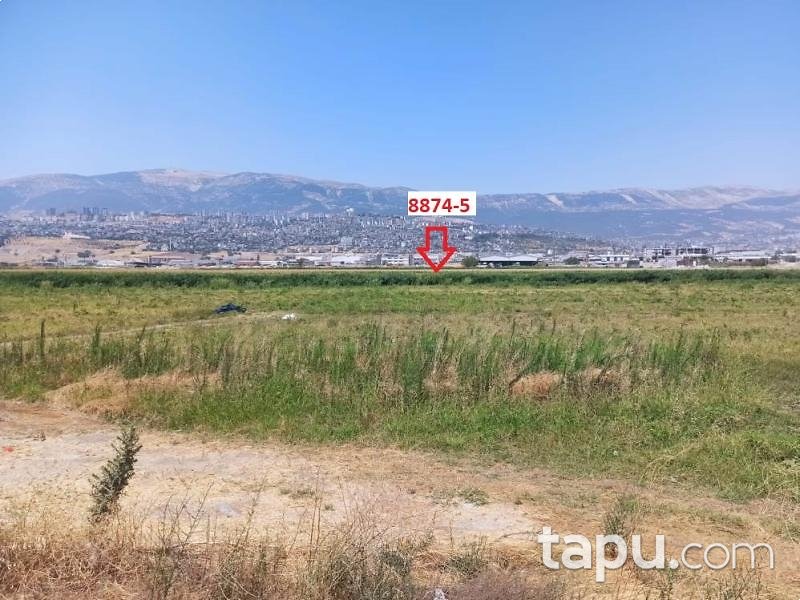 Onikişubat Hayrullah'ta Hisseli 3 Adet İmarlı Arsa (AS-03248)