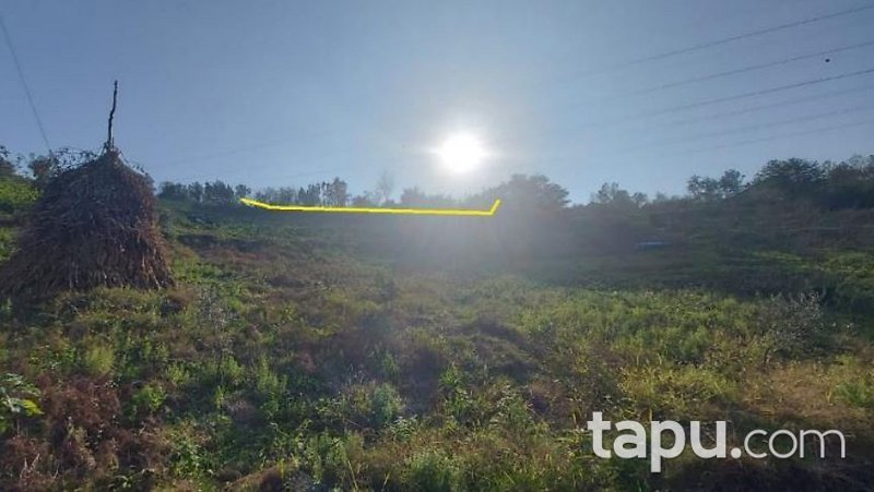 Akçaabat Mersin Mahallesi'nde 3.240 m2 Tarla