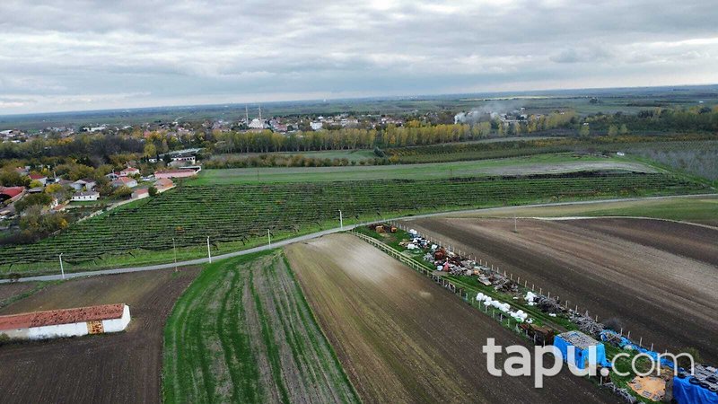 Tekirdağ Ergene Paşaköy'de 31 Dönüm Meyve Bahçesi