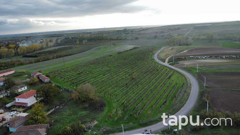 Tekirdağ Ergene Paşaköy'de 31 Dönüm Meyve Bahçesi