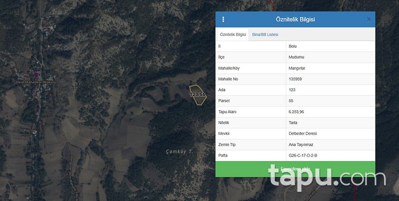 Bolu Mudurnu Mangırlar'da 6.253 m2 Tarla