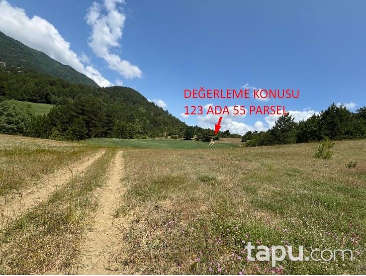 Bolu Mudurnu Mangırlar'da 6.253 m2 Tarla