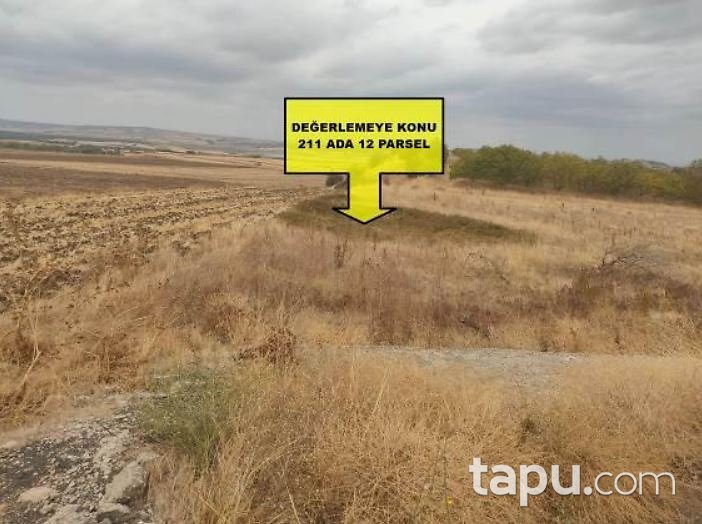 Edirne Uzunköprü Türkobası'nda Hisseli 13.642 m2 Tarla