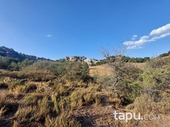 Muğla Yatağan Yava'da 19.852 m2 Tarla