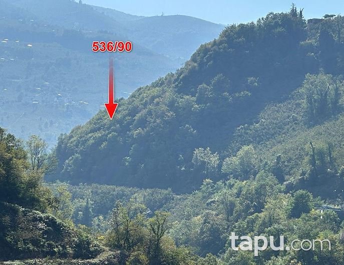 Ordu Ulubey'de Hisseli 7.396 m2 Çalılık