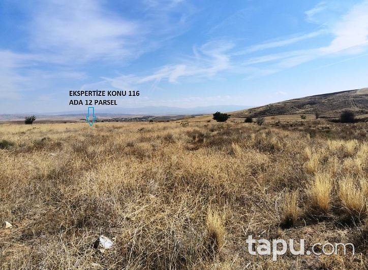 Kırıkkale Delice'de Hisseli 11.767 m2 Tarla