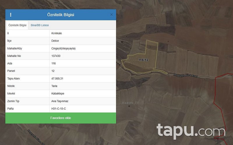 Kırıkkale Delice'de Hisseli 11.767 m2 Tarla