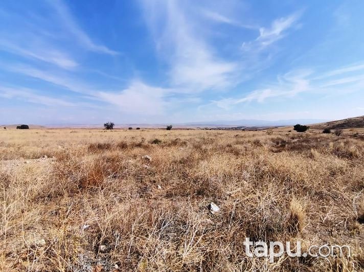 Kırıkkale Delice'de Hisseli 11.767 m2 Tarla