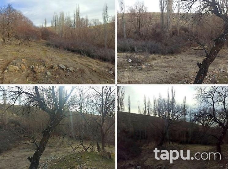 Ankara Şereflikoçhisar Haydarlı'da 2 Adet Bahçe (AS-02319)