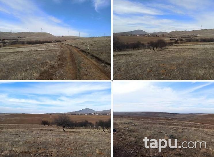 Ankara Şereflikoçhisar Haydarlı'da 2 Adet Bahçe (AS-02319)