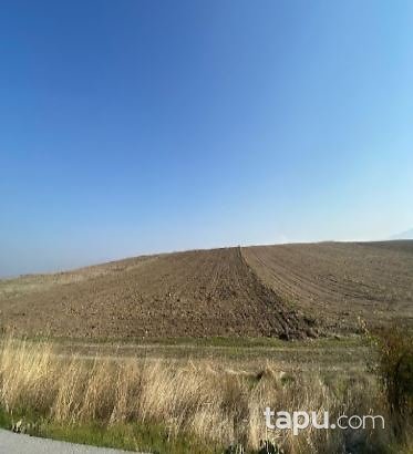 Çorum Sungurlu Yeşilova'da Hisseli 19 Dönüm Tarla