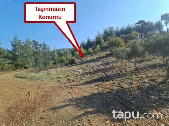Muğla Yatağan Doğanköy'de 14.621 m2 Tarla